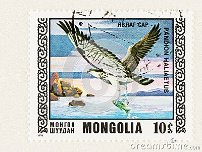 Sea Hawk catching Fish, On Mongolia Conservation Stamp Editorial Stock Photo