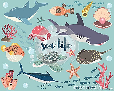 Sea Life Animal Collection Set Vector Illustration