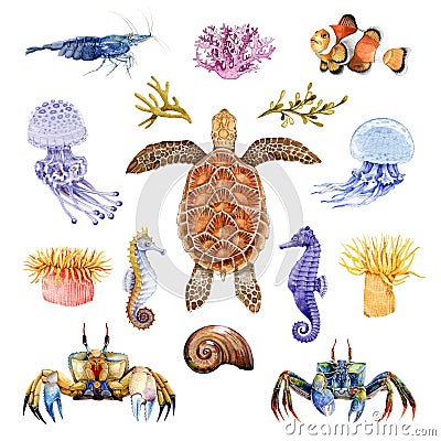 Sea life animals watercolor set. Hand drawn turtle, crab, coral fish, seahorse, jellyfish illustrations. Bright coral Cartoon Illustration