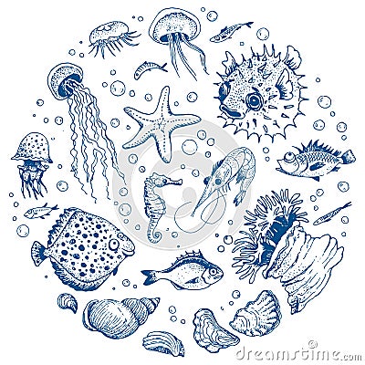 Sea life Vector Illustration