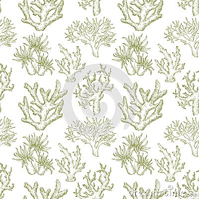 Sea life pattern Vector Illustration