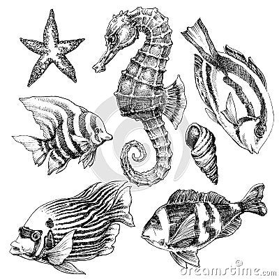 Sea life set Vector Illustration