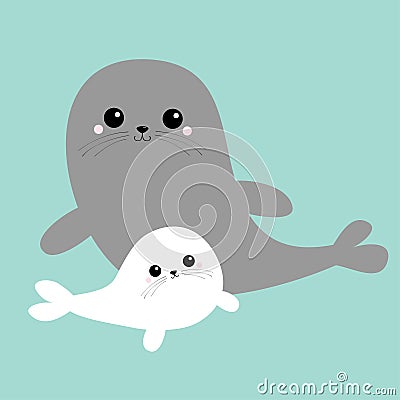 Sea lion. Harp seal pup set. Cute cartoon kawaii character. Gray white color. Happy animal collection. Sea ocean water. Mother and Vector Illustration