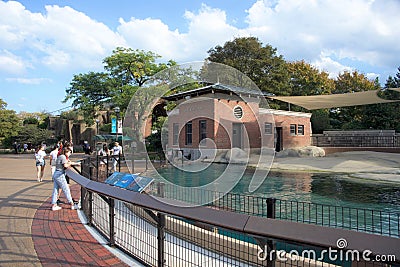 Sea Lion Pool at the Lincoln Park Zoo Chicago, Illinois Editorial Stock Photo