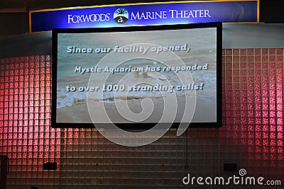 Sea lion show at Mystic Aquarium in Connecticut Editorial Stock Photo