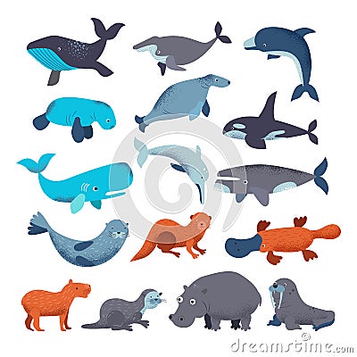 Sea mammal vector water animal character dolphin walrus and whale in sealife or ocean illustration marine set of seal or Vector Illustration