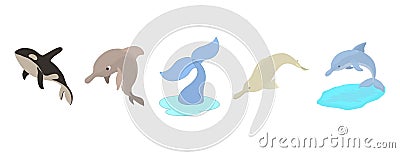 Sea mammals icon set, cartoon style Vector Illustration