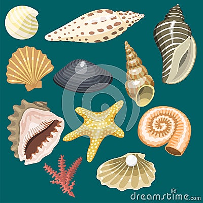 Sea marine animals and shells souvenirs cartoon vector illustration spiral tropical mollusk mussel decoration Vector Illustration