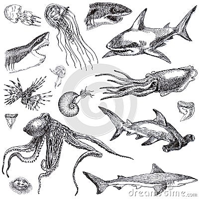 Sea monsters Stock Photo