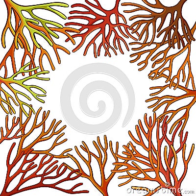 Sea moss frame Vector Illustration