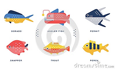 Sea and Ocean Fishes Collection, Dorado, Angler Fish, Permit, Snapper, Trout, Perch Vector Illustration Vector Illustration
