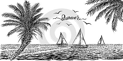 Sea or ocean tropical view with sailboats and palms. Vector panoramic beach drawing. Vector Illustration