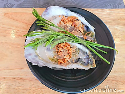 Sea oysters with combination. Stock Photo