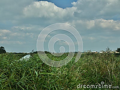 Water and grasslands Stock Photo