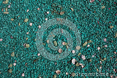 Sea pebbles of green color with shells of different color and size. Stock Photo