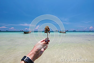 Sea plant in left hand hold at Thailand travel island Koh Tao shallow sand beach with peace clear blue sky landscape background Stock Photo