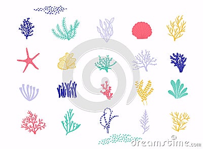 Sea plants and aquarium seaweed vector set. Vector illustration isolated on white background Vector Illustration