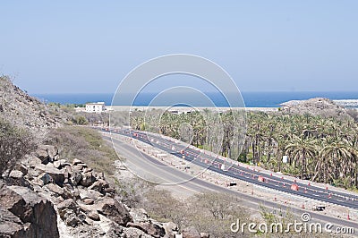 Sea, Road and Palm Trees on Desert Stock Photo