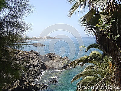 Small beach hidden in the middle of the trees Stock Photo