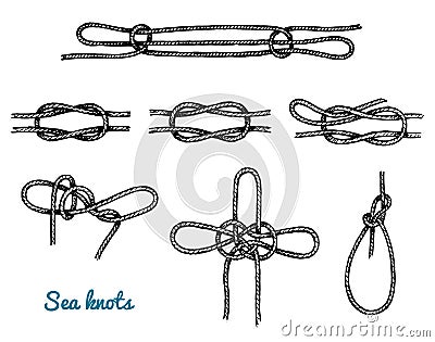 Sea rope knots in different directions for water transport. Marine sketch with ornament. engraved hand drawn, atlantic Vector Illustration