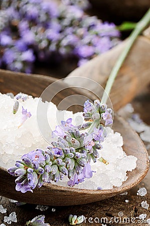 Sea salt and fresh lavender Stock Photo
