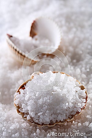 Sea salt in sea shell on salts background Stock Photo