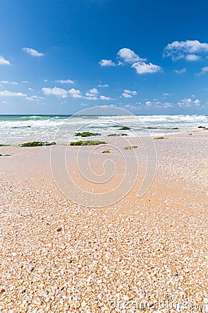 Sea and the sandy shore Stock Photo