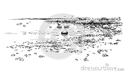 Seascape sketch drawing. Hand drawn coast, stones, water Vector Illustration