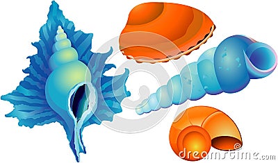 Sea shell Vector Illustration