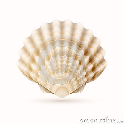 Sea shell Vector Illustration