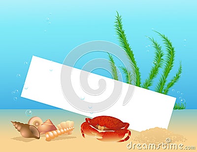 Sea shell frame Stock Photo