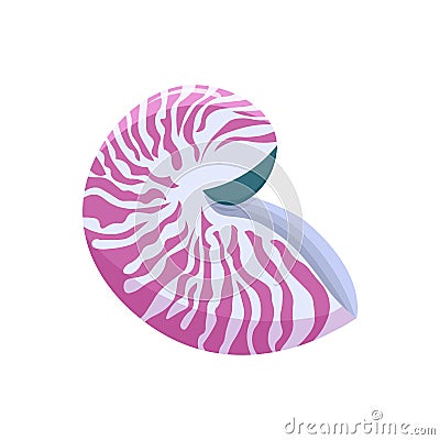 sea shell - nautilus illustration isolated on a white background Cartoon Illustration