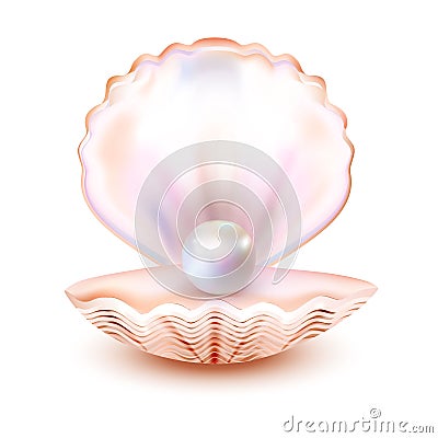 Sea shell realistic icon isolated on white background. Mother of pearl, oyster, clam. Finest quality. Vector Illustration. Vector Illustration