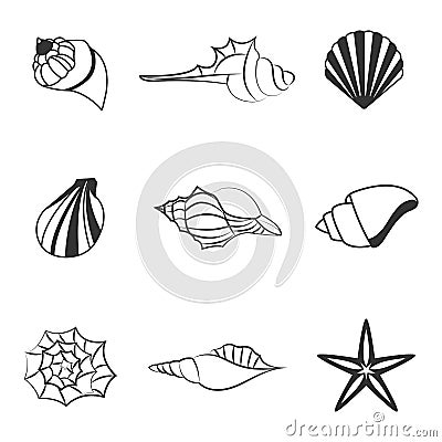 Sea shell vector illustration of line silhouettes Vector Illustration