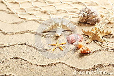 Sea shells Stock Photo