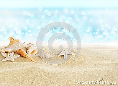 Sea shells on the beach Stock Photo