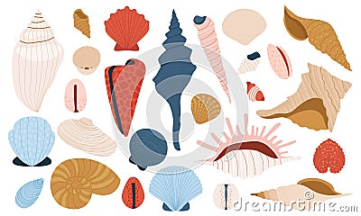 Sea shells. Cartoon colorful marine shells, nautical marine shellfish, scallop and clam, summer beach vacation flat Vector Illustration