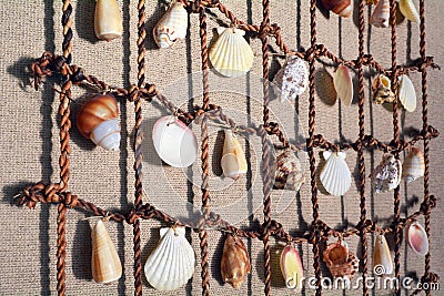 Sea Shells collection on a fishing net hanged on a wall backgro Stock Photo