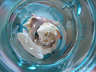 Sea shells commemorative Stock Photo