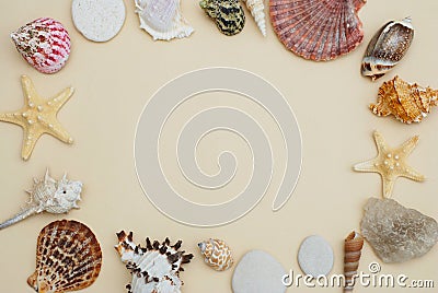Sea Shells Frame on Neutral Ivory Backgroundwith Copy space for Text. Nautical and Marinne Concept. Stock Photo