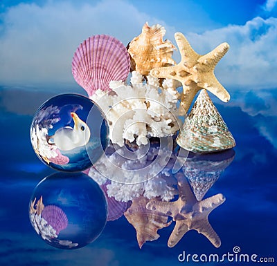 Sea shells and globe Stock Photo