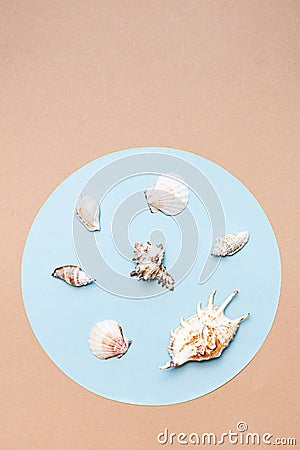 Sea shells Ñreative layout. Summer or vacation concept. Seashells pattern. Stock Photo