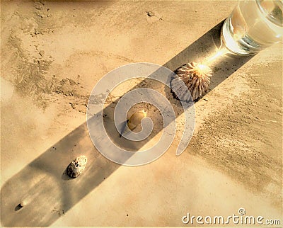 Sea Shells reflection with a water glass Stock Photo