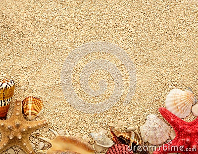 Sea shells on the sand. Postcard with copyspace. Stock Photo