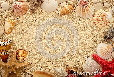 Sea shells on the sand. Postcard with copyspace. Space for text Stock Photo