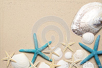 Sea shells on sand. Summer beach background. Top view Stock Photo