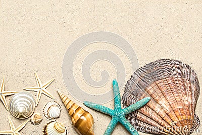 Sea shells on sand. Summer beach background. Top view Stock Photo