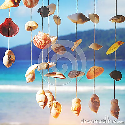 Sea Shells Sea Shore Summer Beach Concept Stock Photo