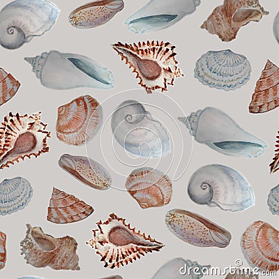 Sea shells, seamless pattern , background. Watercolor Stock Photo