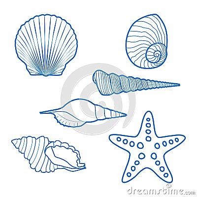 Sea shells and starfish Vector Illustration